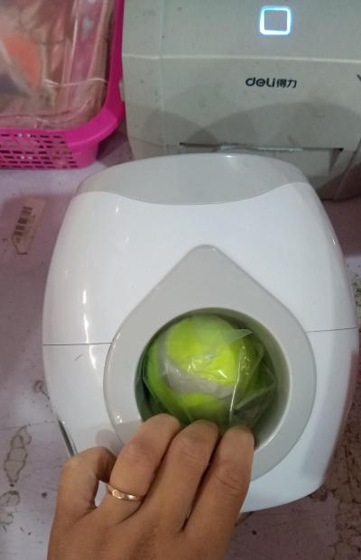 Fetch & Treat Pet Feeder