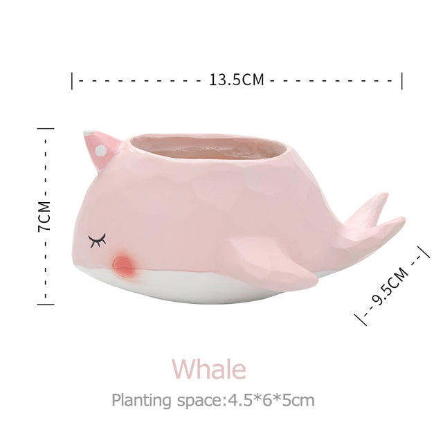 Animini Plant Pots