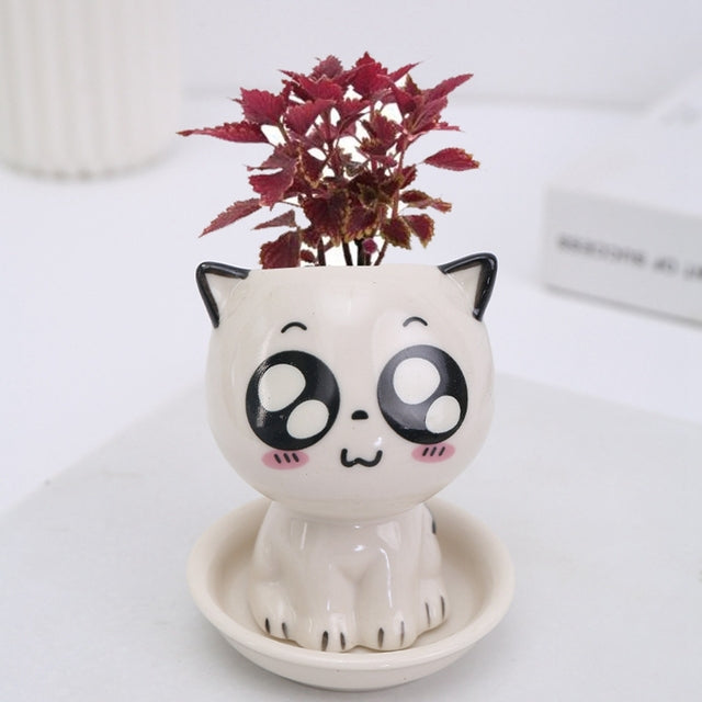 Kitten Pot Pals