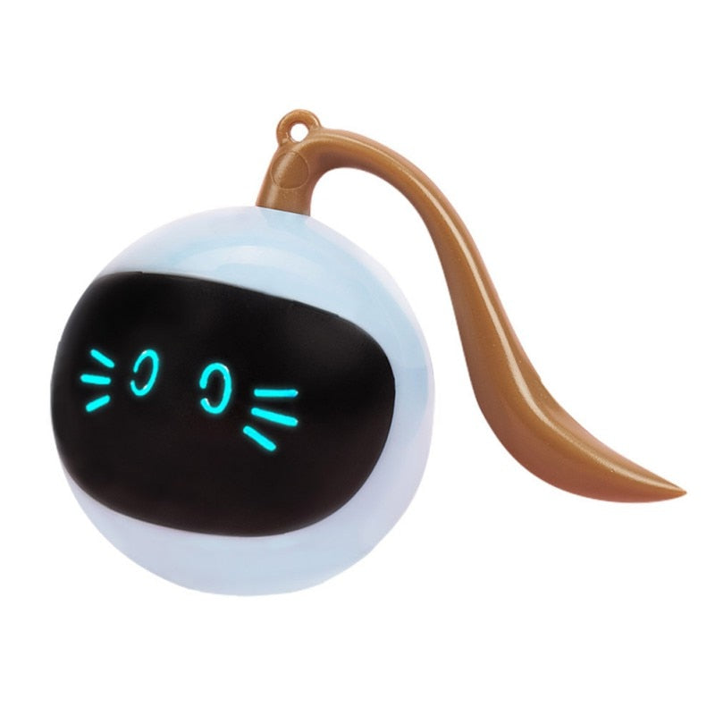 Tail-Chasing Kitty Ball
