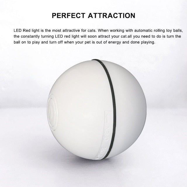 SpinBall Cat Toy