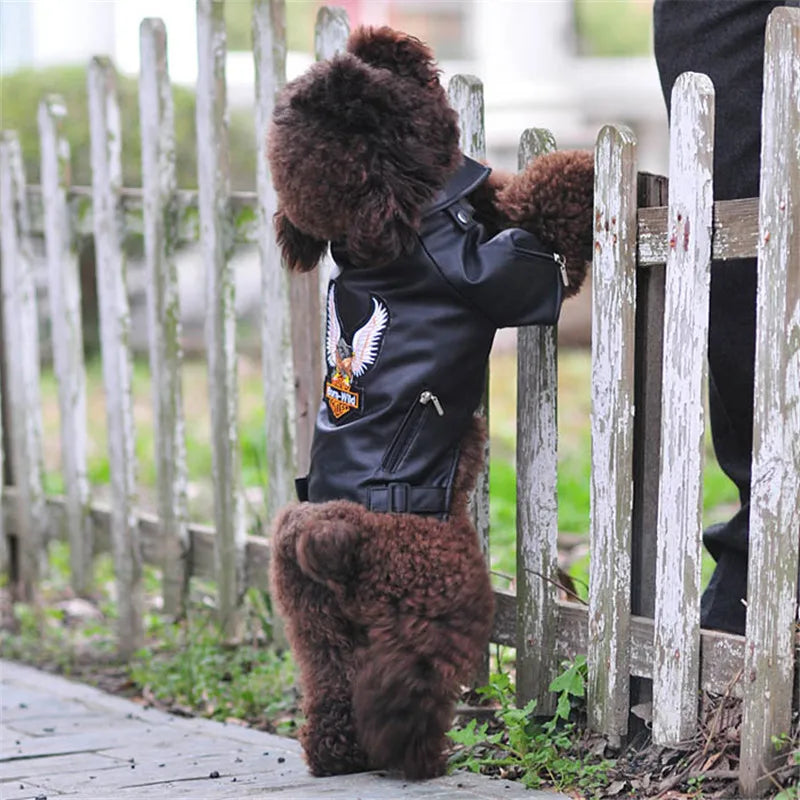 Biker Pet Jacket