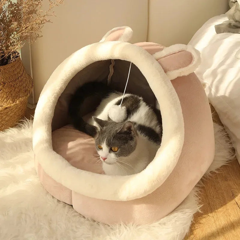 Cat Play Bed