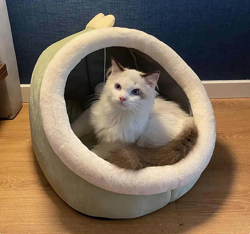 Cat Play Bed