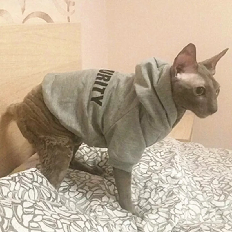 Mid-Season Hoodie