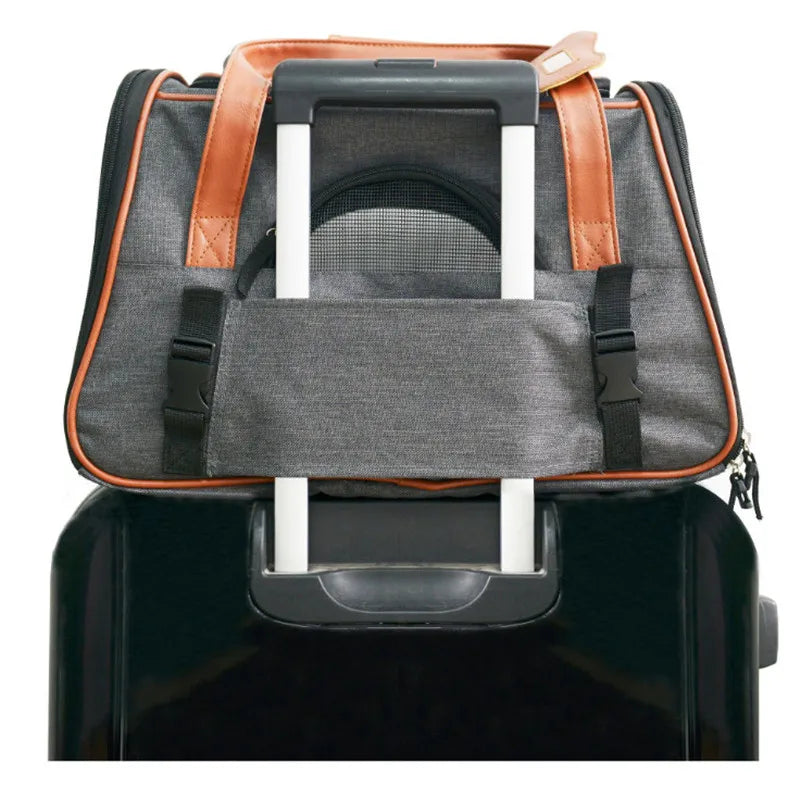 Modern Pet Carrier Bag