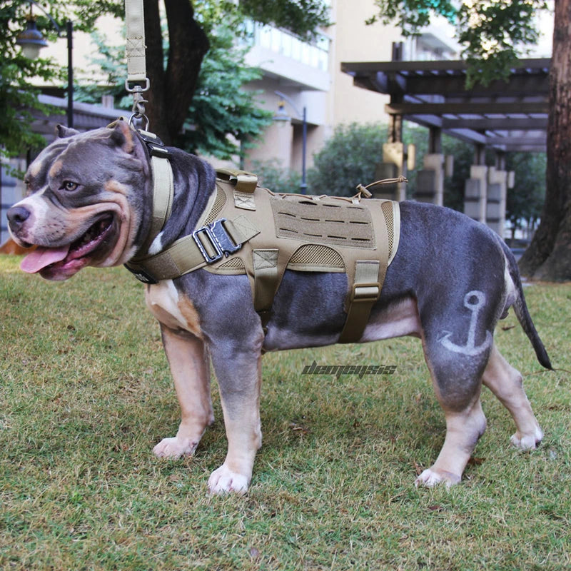 Tactical Dog Vest