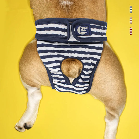 HeatGuard Panties