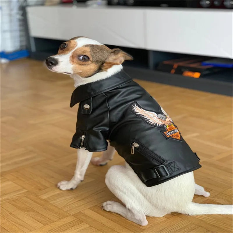 Biker Pet Jacket
