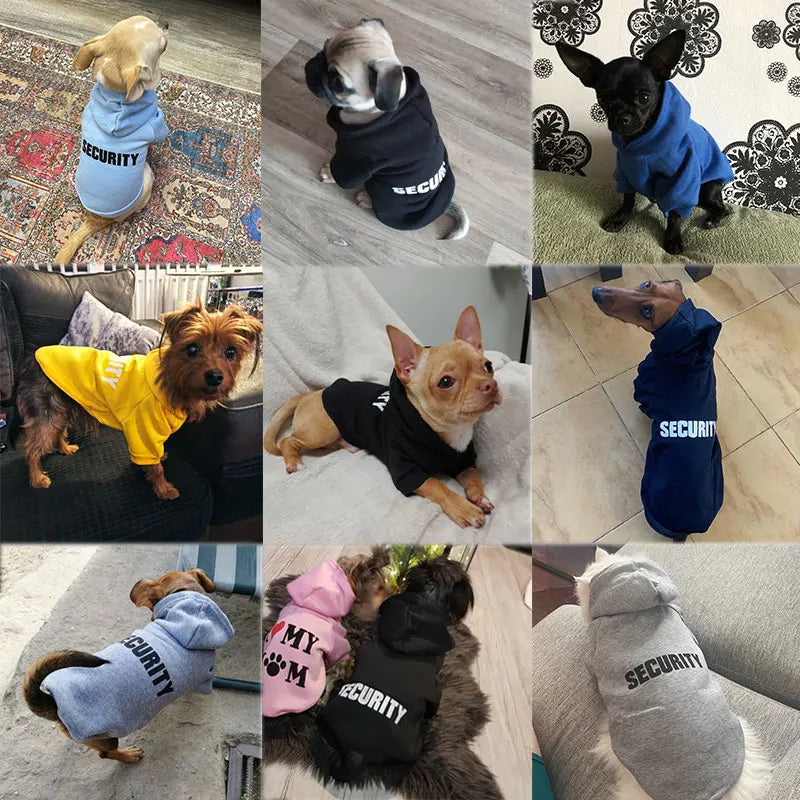 Mid-Season Hoodie
