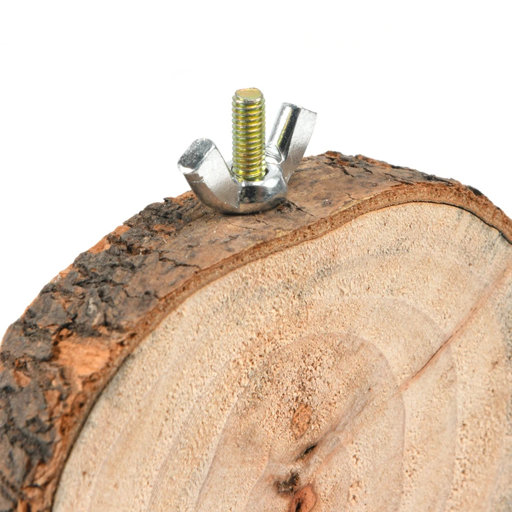 Branch Slice Bird Perch