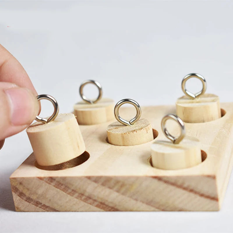 Bird Training Blocks
