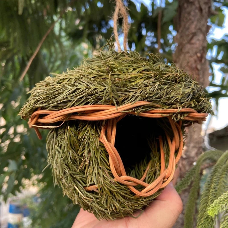The Straw Collection