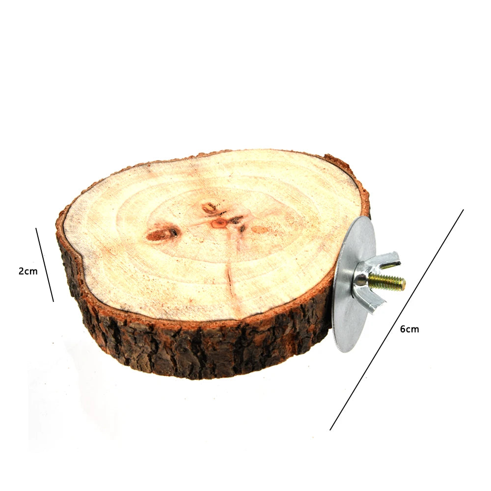 Branch Slice Bird Perch