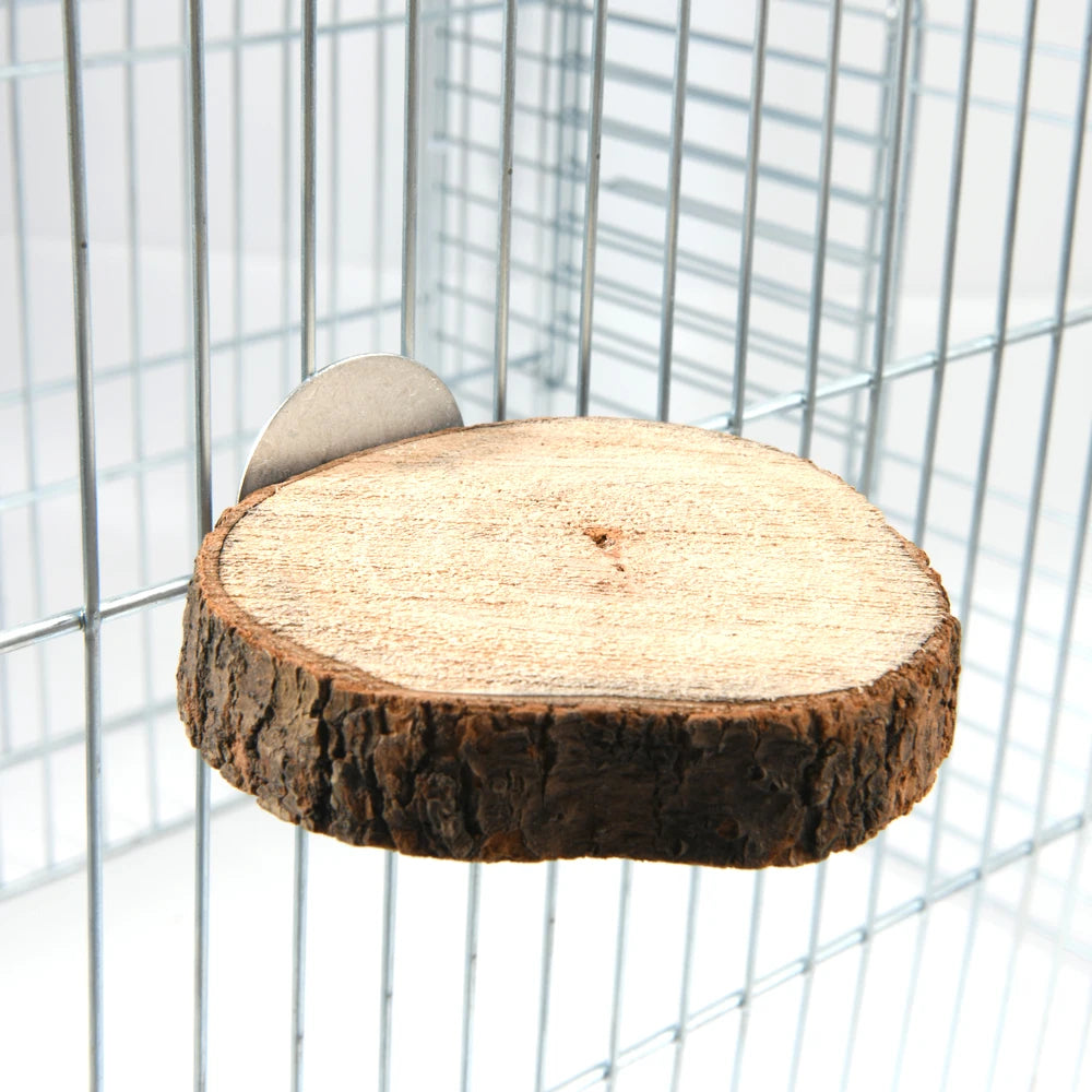 Branch Slice Bird Perch