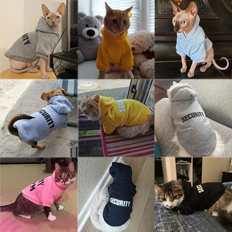 Mid-Season Hoodie