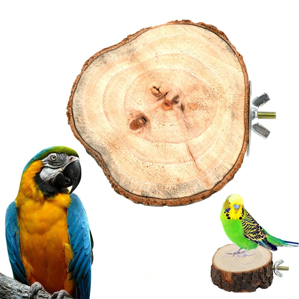 Branch Slice Bird Perch