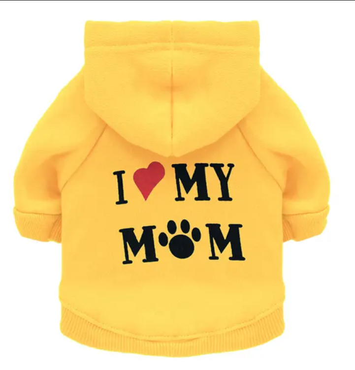 Mid-Season Hoodie