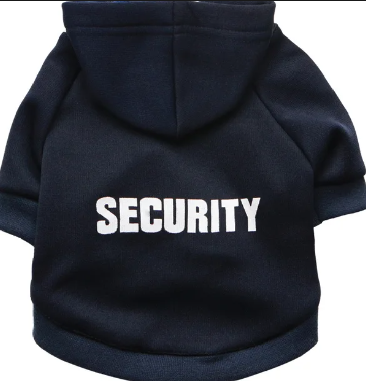Mid-Season Hoodie