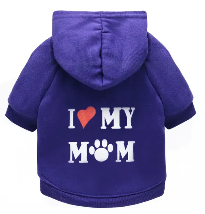 Mid-Season Hoodie