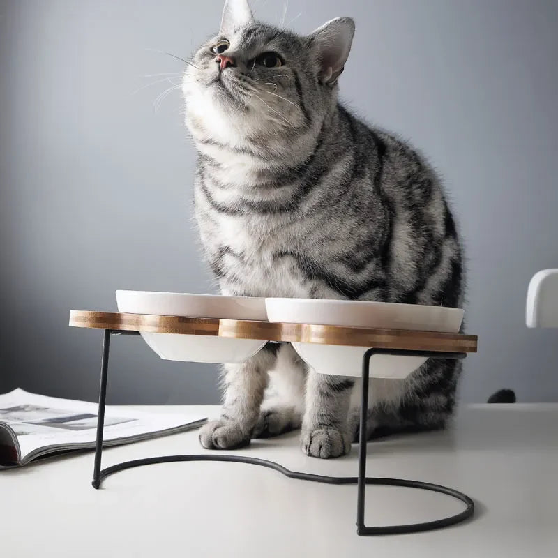 Raised Bamboo Cat Bowl
