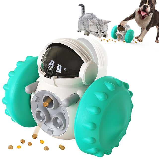 SnackRover Toy