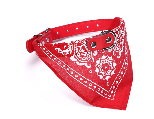 Small Pet Collar With Bandana