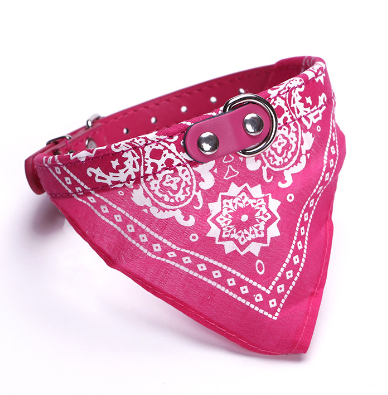 Small Pet Collar With Bandana