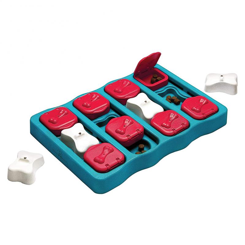 Dog Treasure Box Toy