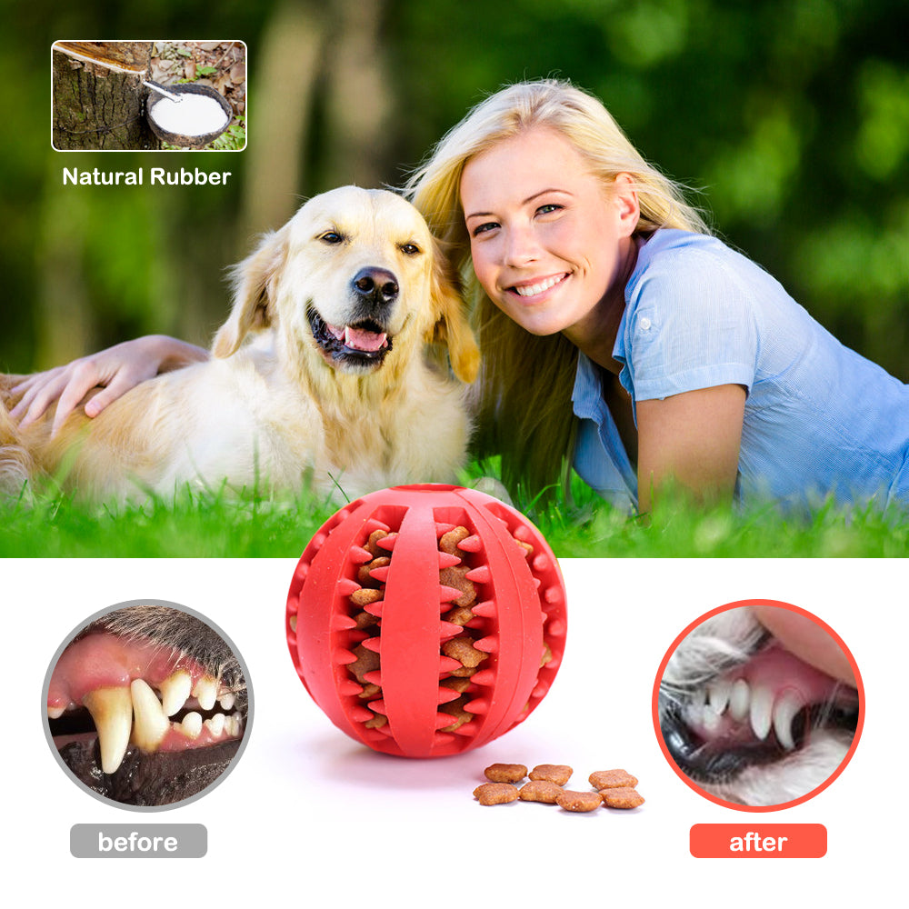 The ChewChase Treat Ball