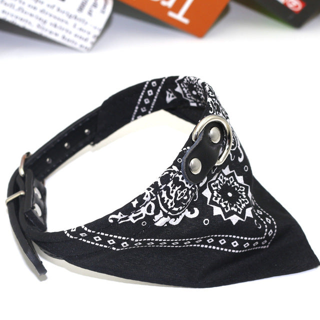 Small Pet Collar With Bandana