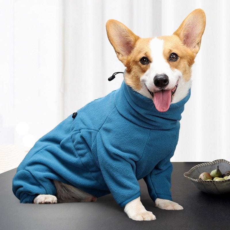 Thick Winter Fleece Coat