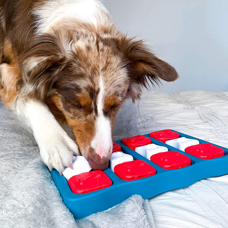 Dog Treasure Box Toy