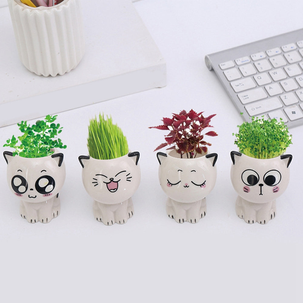 Kitten Pot Pals