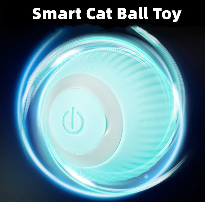 MeowMotion Play Ball