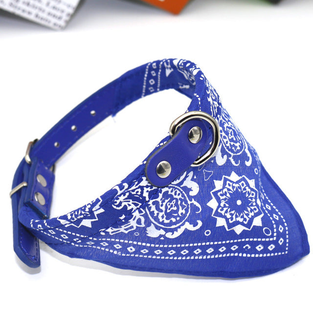 Small Pet Collar With Bandana