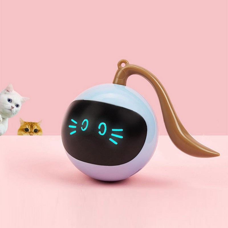 Tail-Chasing Kitty Ball