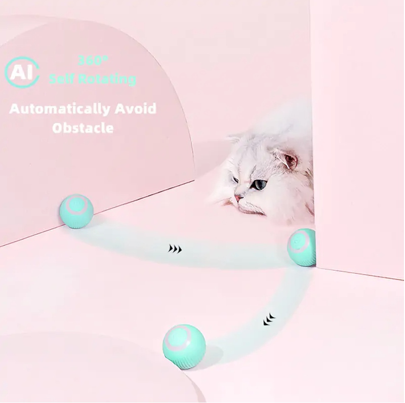 MeowMotion Play Ball