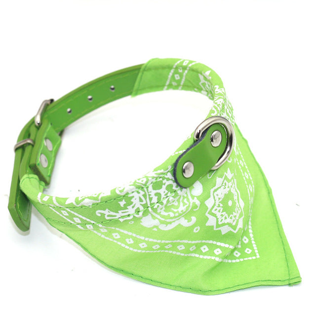 Small Pet Collar With Bandana
