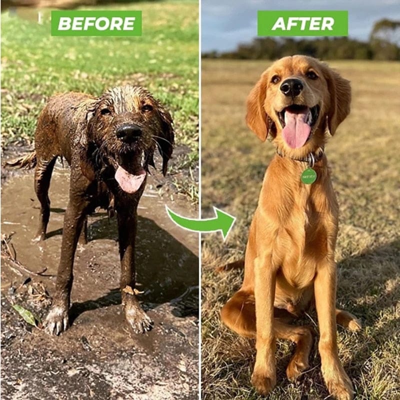 Dog Shower Jet