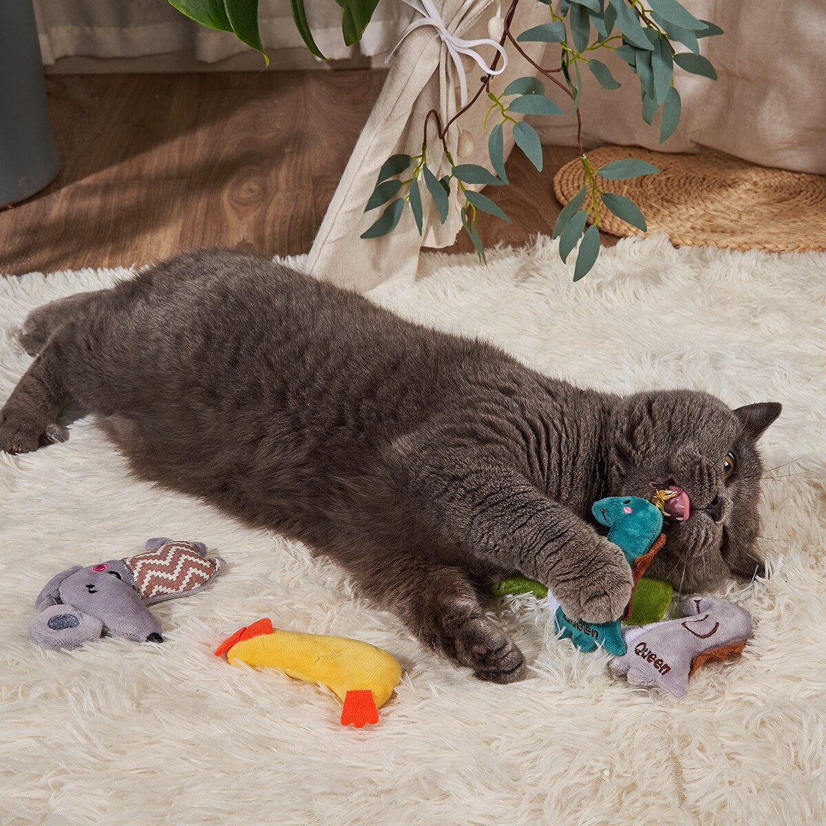 Chewtastic cat toy