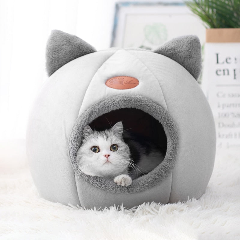 The CatPod