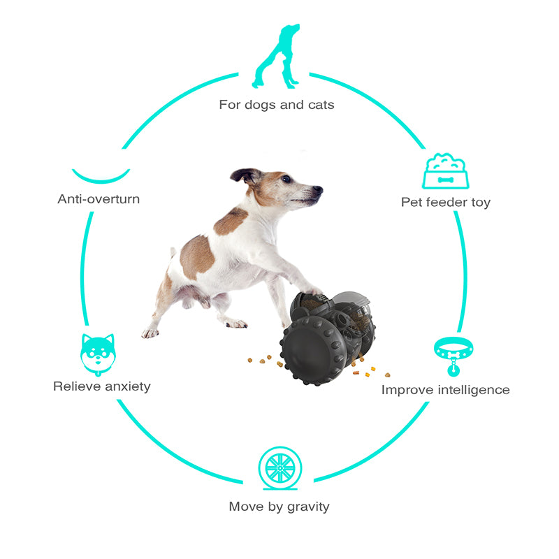 SnackRover Toy