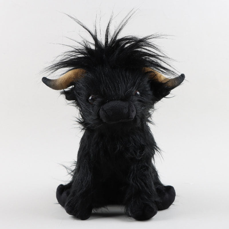 Lachlan The Highland Cow