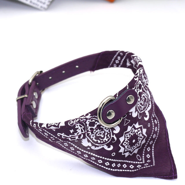 Small Pet Collar With Bandana