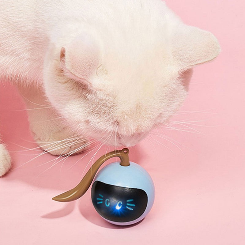 Tail-Chasing Kitty Ball