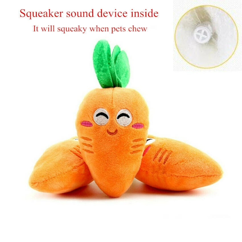 Becca The Carrot