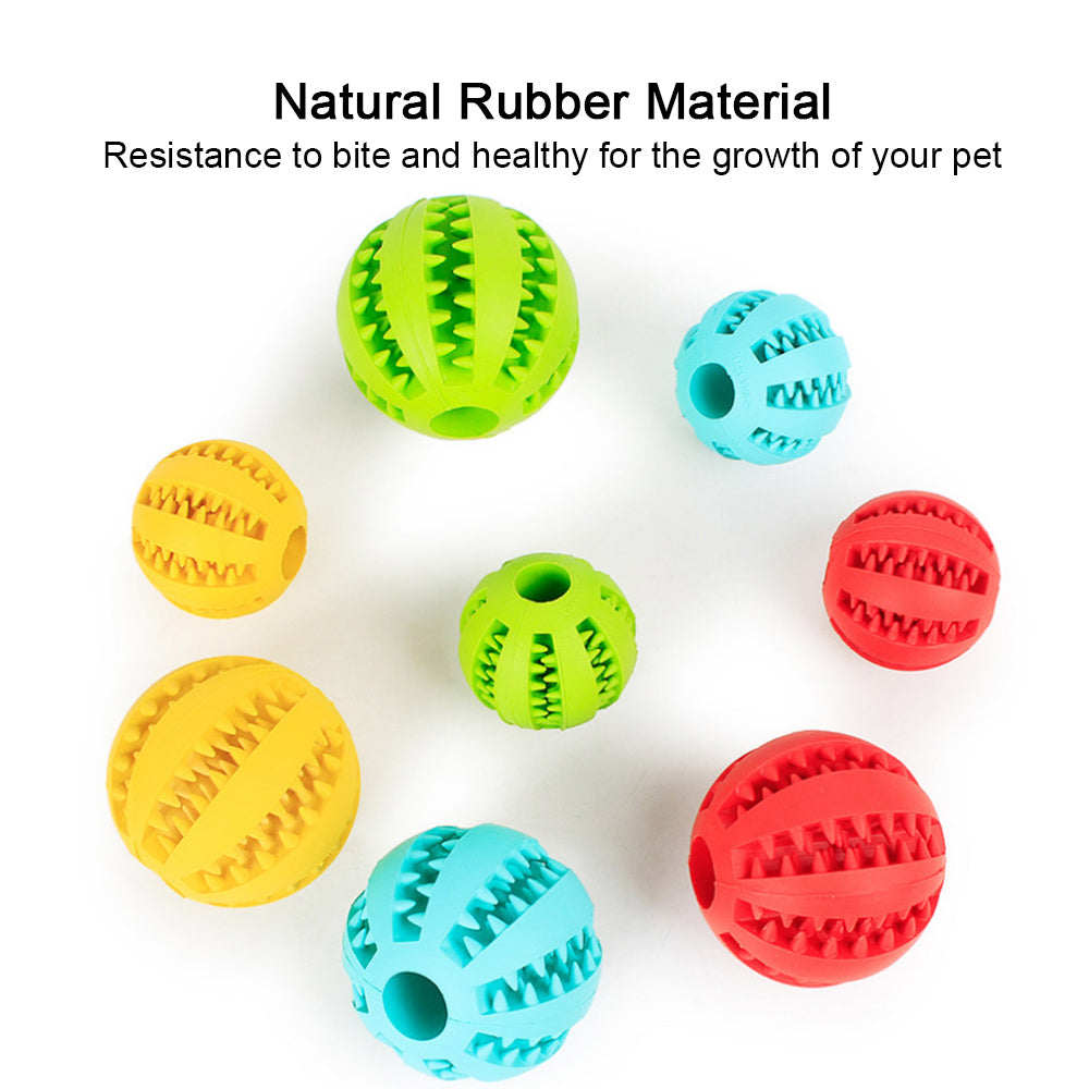 The ChewChase Treat Ball