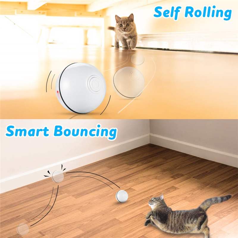 SpinBall Cat Toy