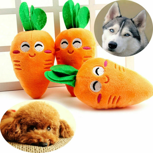 Becca The Carrot